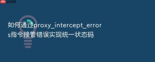 如何通过proxy_intercept_errors指令接管错误实现统一状态码