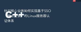 针对核心业务如何实现基于SSO（单点登录）的Linux服务器认证体系