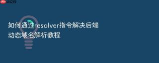 如何通过resolver指令解决后端动态域名解析教程