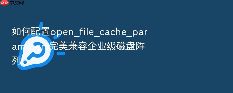 如何配置open_file_cache_parameters完美兼容企业级磁盘阵列
