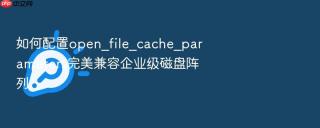 如何配置open_file_cache_parameters完美兼容企业级磁盘阵列