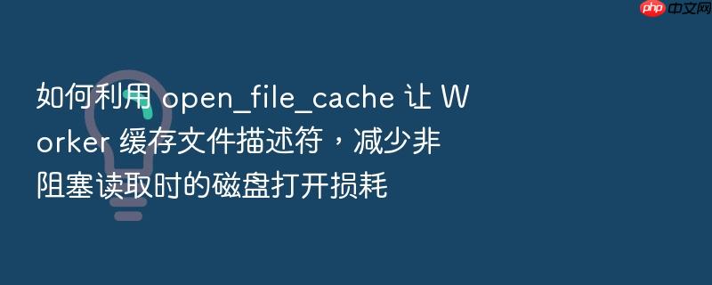 如何利用 open_file_cache 让 worker 缓存文件描述符,减少非阻塞读取时的磁盘打开损耗