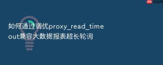 如何通过调优proxy_read_timeout兼容大数据报表超长轮询