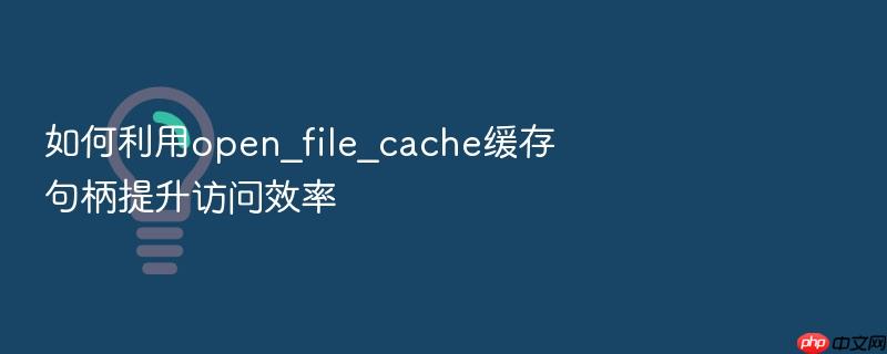 如何利用open_file_cache缓存句柄提升访问效率