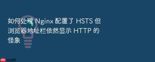 如何处理 nginx 配置了 hsts 但浏览器地址栏依然显示 http 的怪象