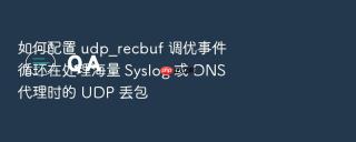 如何配置 udp_recbuf 调优事件循环在处理海量 syslog 或 dns 代理时的 udp 丢包