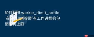 如何利用 worker_rlimit_nofile 在全局块控制所有工作进程的句柄消耗上限