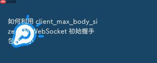 如何利用 client_max_body_size 限制 websocket 初始握手包的大小