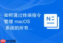 如何通过终端指令管理 macOS 系统的所有开机自启动磁盘扫描服务