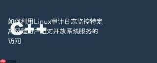 如何利用linux审计日志监控特定高风险用户组对开放系统服务的访问