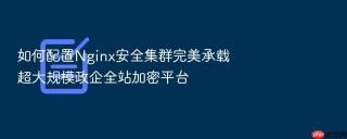如何配置nginx安全集群完美承载超大规模政企全站加密平台