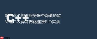 新手怎么排查服务器中隐藏的监听端口及异常网络连接PID实战