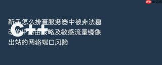 新手怎么排查服务器中被非法篡改的IP路由策略及敏感流量镜像出站的网络端口风险
