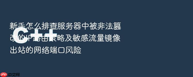 新手怎么排查服务器中被非法篡改的ip路由策略及敏感流量镜像出站的网络端口风险