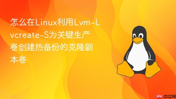 怎么在linux利用lvm-lvcreate-s为关键生产卷创建热备份的克隆副本卷