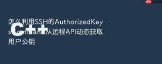 怎么利用SSH的AuthorizedKeysCommand从远程API动态获取用户公钥