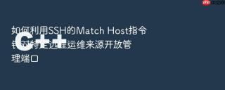 如何利用SSH的Match Host指令针对特定远程运维来源开放管理端口