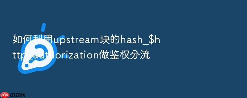 如何利用upstream块的hash_$http_authorization做鉴权分流