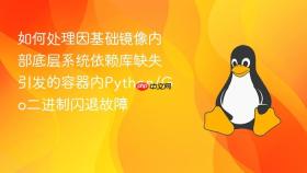 如何处理因基础镜像内部底层系统依赖库缺失引发的容器内python/go二进制闪退故障