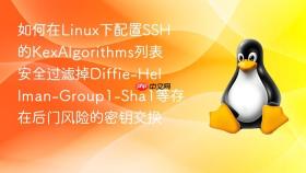 如何在linux下配置ssh的kexalgorithms列表安全过滤掉diffie-hellman-group1-sha1等存在后门风险的密钥交换