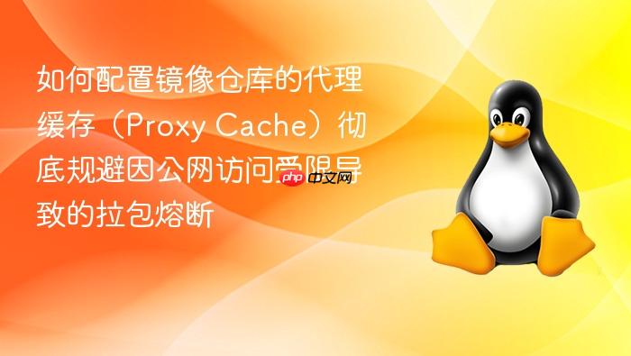 如何配置镜像仓库的代理缓存(proxy cache)彻底规避因公网访问受限导致的拉包熔断
