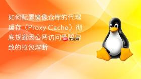 如何配置镜像仓库的代理缓存(proxy cache)彻底规避因公网访问受限导致的拉包熔断