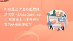 如何通过 大面积脏数据清洗器（data sanitizer） 解决线上由于升级导致的结构损坏缓存