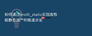 如何通过brotli_static实现高性能静态资产的极速分发