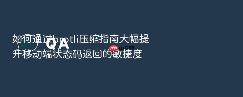 如何通过brotli压缩指南大幅提升移动端状态码返回的敏捷度