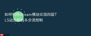 如何利用stream模块实现四层tls动态卸载与分流控制