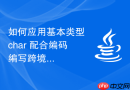 如何应用基本类型 char 配合编码编写跨境电商国家分拣器