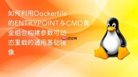 如何利用Dockerfile的ENTRYPOINT与CMD黄金组合构建参数可动态重载的通用基础镜像