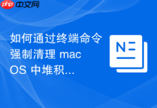 如何通过终端命令强制清理 macOS 中堆积的旧版应用残留缓存文件