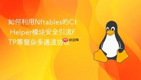 如何利用nftables的ct helper模块安全引流ftp等复杂多通道协议