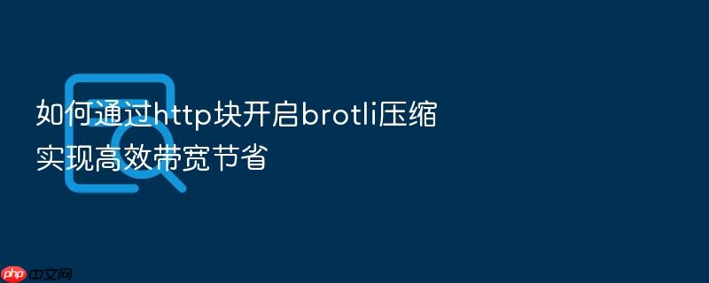 如何通过http块开启brotli压缩实现高效带宽节省