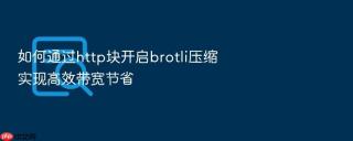 如何通过http块开启brotli压缩实现高效带宽节省