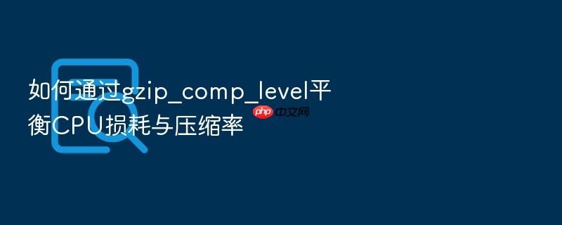 如何通过gzip_comp_level平衡cpu损耗与压缩率