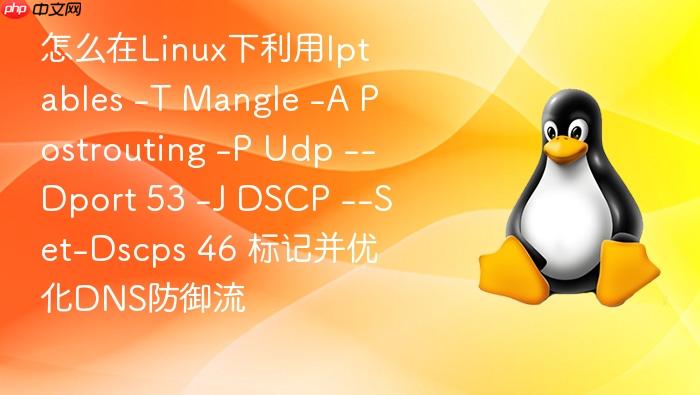 怎么在linux下利用iptables -t mangle -a postrouting -p udp --dport 53 -j dscp --set-dscps 46 标记并优化dns防御流