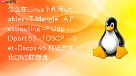 怎么在linux下利用iptables -t mangle -a postrouting -p udp --dport 53 -j dscp --set-dscps 46 标记并优化dns防御流