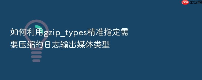 如何利用gzip_types精准指定需要压缩的日志输出媒体类型