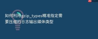 如何利用gzip_types精准指定需要压缩的日志输出媒体类型