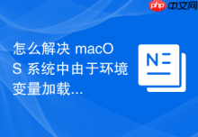 怎么解决 macOS 系统中由于环境变量加载顺序错误导致的 Git 提交失败