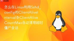 怎么在linux利用sshd_config的clientaliveinterval与clientalivecountmax自动清理超时僵尸会话