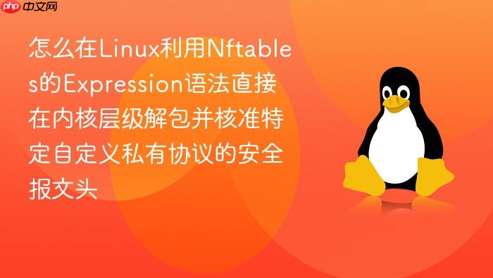 怎么在linux利用nftables的expression语法直接在内核层级解包并核准特定自定义私有协议的安全报文头