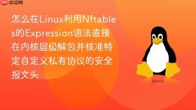怎么在linux利用nftables的expression语法直接在内核层级解包并核准特定自定义私有协议的安全报文头