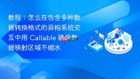 教程：怎么在包含多种数据转换格式的异构系统交互中用 callable 确保数据映射区域不缩水