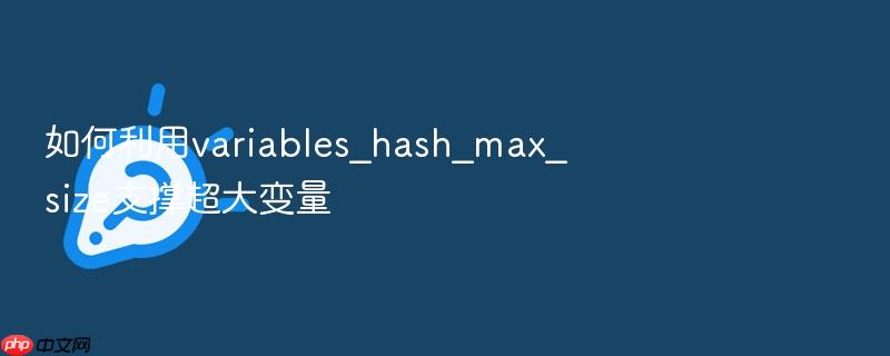 如何利用variables_hash_max_size支撑超大变量