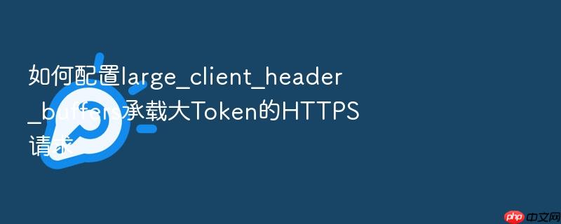 如何配置large_client_header_buffers承载大token的https请求