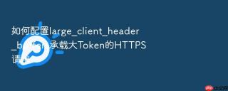 如何配置large_client_header_buffers承载大token的https请求