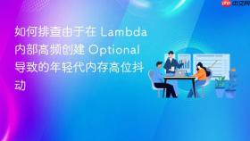 如何排查由于在 lambda 内部高频创建 optional 导致的年轻代内存高位抖动